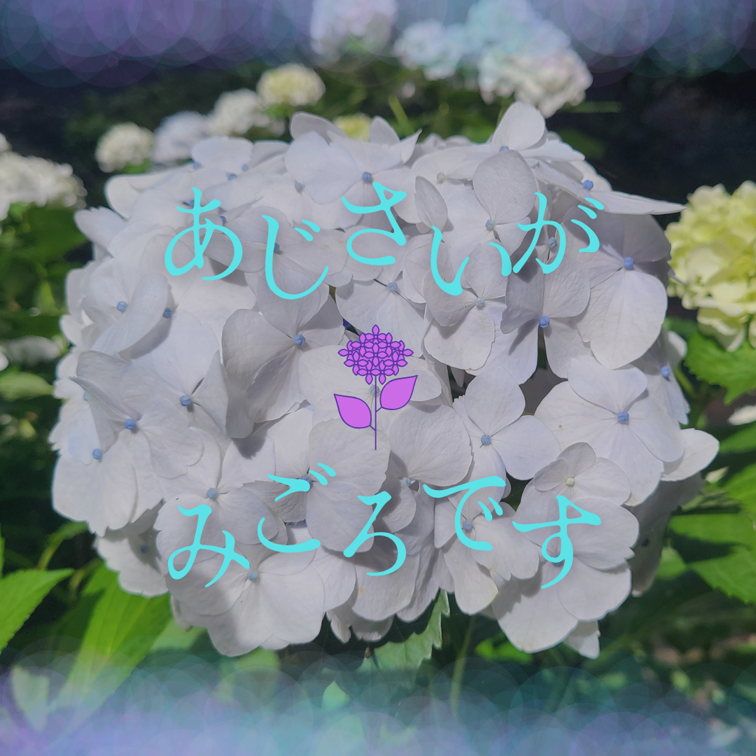 2202506121509160.png