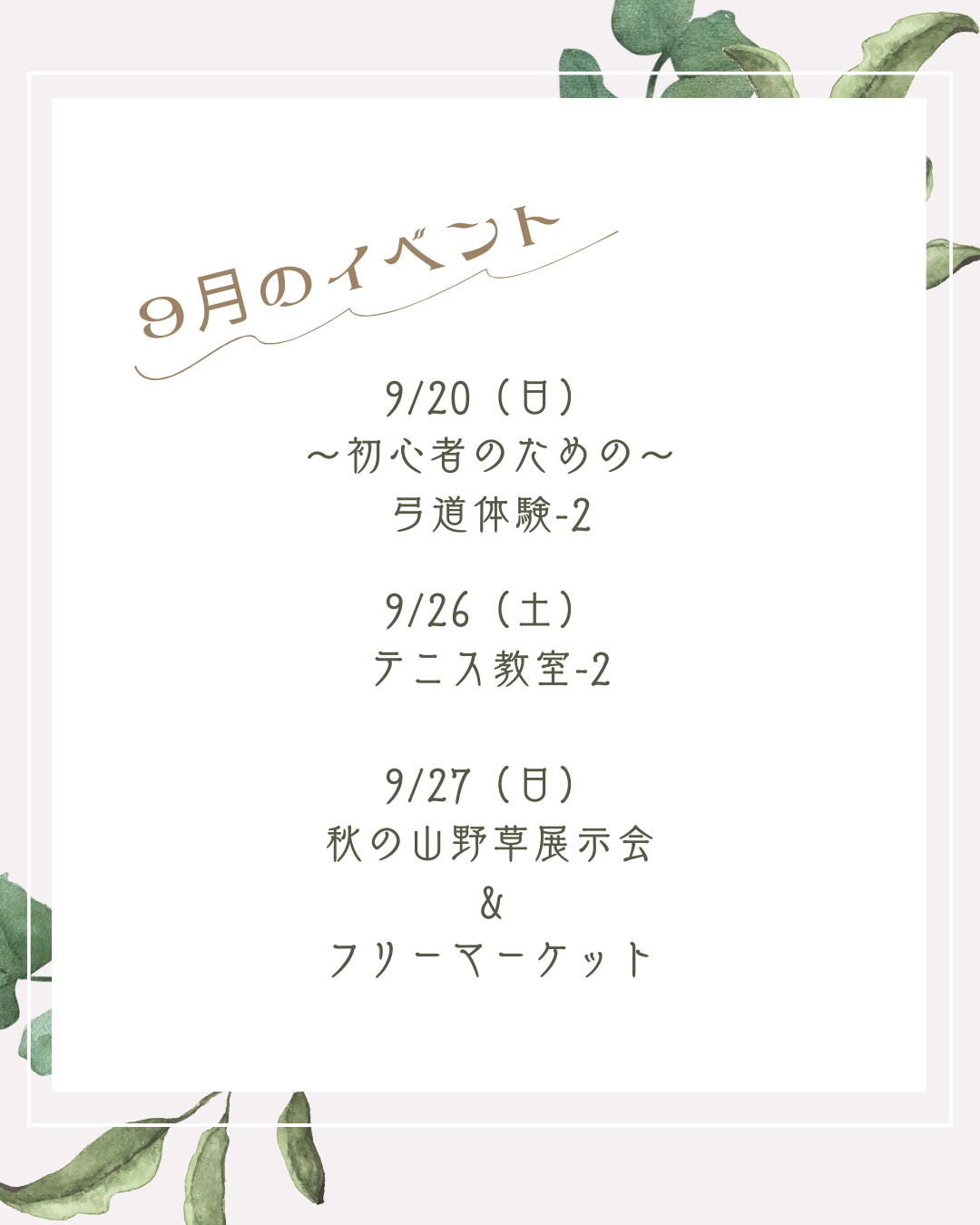 2202607281536250.png